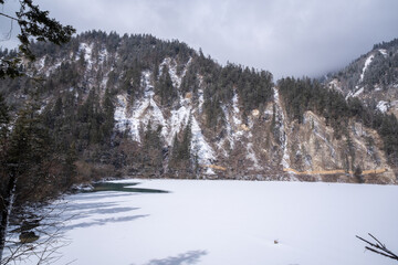 Panda Lake in Jiuzhai Valley National Park, Jiuzhaigou, China