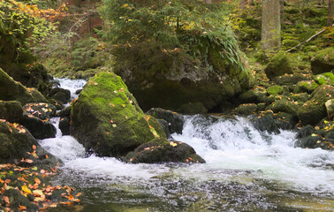 Mossy stones and river in dark forest