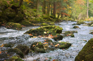 Mossy stones and river in dark forest