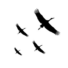 羽ばたく鶴のシルエットイラスト