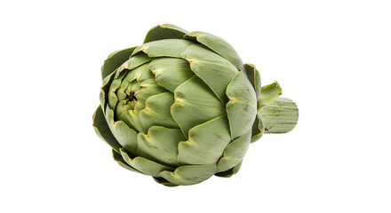Obraz premium artichoke PNG. Artichoke isolated. green artichoke vegetable full of vitamins PNG. leafy green artichoke for vegans and vegetarians. Organic and fresh artichoke PNG