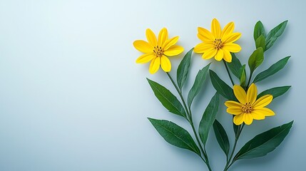 Bright yellow flowers on light blue background,  simple arrangement