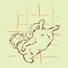 a kitten is sleeping vector for illustration card decoration
