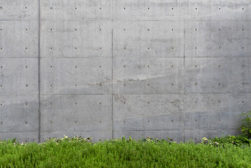 textured concrete wall with small holes and green grass at base, creating modern and minimalistic...