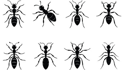 Ant vector shilhouette bundle set icon .