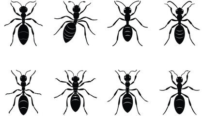 Ant vector shilhouette bundle set icon.