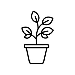 Obraz premium Potted plant with small leaves on white background