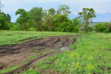Muddy Road in the Countryside with green trees in rainy day