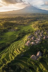 Aerial view of lush green rice terraces with traditional houses under sunlight near mountain landscape in Bali, perfect for travel and nature photography.