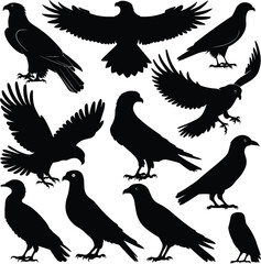 Obraz premium Bird Silhouettes Vector Illustration – Crow, Raven, and Eagle Clipart Set