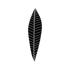 black and white leaf vector illustration