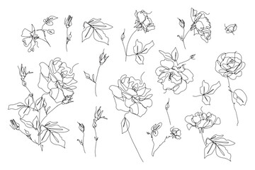 Fototapeta premium Hand drawing minimalist outline flower natural organic sketch illustration