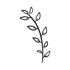 leaf silhouette vector symbol icon design.