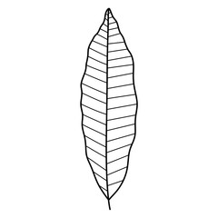 leaf silhouette vector symbol icon design.