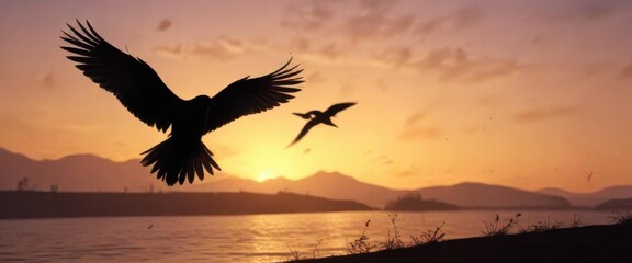 Naklejka premium Stunning bird silhouette with majestic spread wings against a sunset sky with warm golden light, beauty, golden light