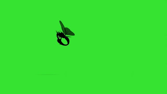 Acting dragon fly green screen or chroma key video clip art animation