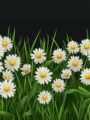 Fototapeta premium Chamomile field. Green grass, flowers and herbs border. Natural park or meadow isolated on transparent background. Blossom lawn vector banner
