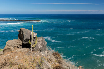 Fototapeta premium Panorama costiero con onde e schiuma