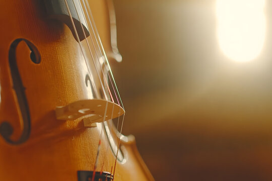 Close-up of a stringed instrument showcasing its elegant curves and intricate details, with a soft, warm light illuminating its surface.