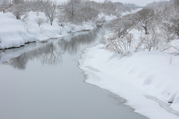 木々が映り込む、穏やかな運河の水面
