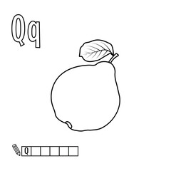 Alphabet for coloring, letter Q, vector illustration, fruit and vegetable alphabet