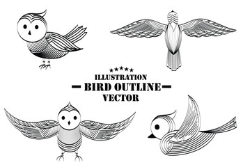 vintage illustration birds line, birds illustration outline isolated white, pattern line bird cyanocitta or blue jay, 