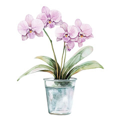 The image is a watercolor painting of an orchid plant in a decorative ceramic pot.