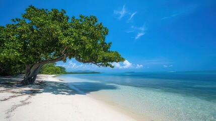 tropical escape on an island with rain trees scattered along the shoreline, offering shelter and a perfect spot for a peaceful retreat