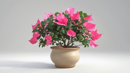 Small Delicately Pruned Bougainvillea Shining with Vibrant Pink Blooms in a Beige Ceramic Pot on a Light Background
