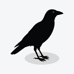 A silhouette crow on a branch simple flat design vector.