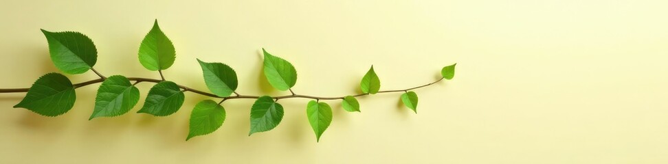 Fototapeta premium Glassy vine with green leaves on a natural beige gradient background, calming atmosphere, earthy tones