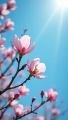 Obraz premium Delicate petals unfurl on slender branches against a radiant blue sky, foliage, blue sky, spring