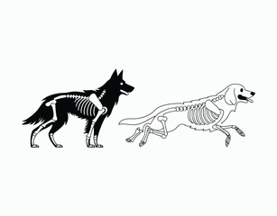 Fototapeta premium Elegant Dog Skeleton Silhouette Vector Template