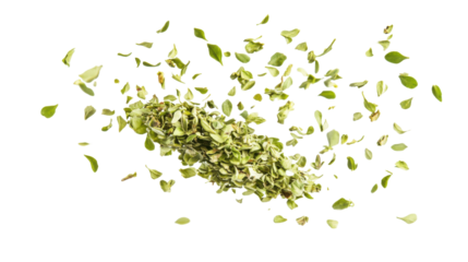 Chopped dry oregano leaves flying isolated on white background