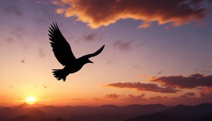 Dark silhouette of flying bird against sunset sky,  landscape, birds,  sunset