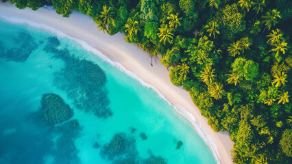 tropical beach with white sand, aerial view