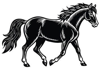 Obraz premium Black And White Horse Silhouette