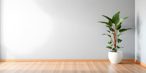 minimalist mockup of a white wall adorned with a vibrant green plant on a polished wood floor,split-color background wall creating a lively and cheerful atmosphere of modern interior design.