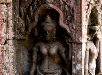 bailarinas con flor d eloto