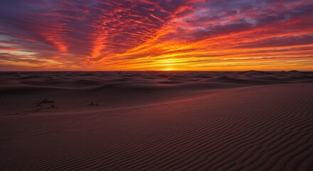 sunset over the desert