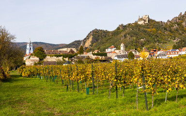 Idyllic medieval town Durnstein in the Wachau, Danube Valley in Austria. Famous tourism and...