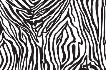 Tiger skin texture black and white	