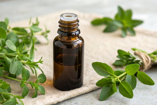 Ayurvedic hair oil bottle with brahmi leaves