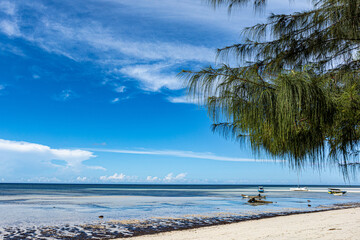 East Sumba, East Nusa Tenggara, Indonesia –  03. 01. 2025 – Dancing Mangroves, Coconut Trees, and the White Sand of Walakiri Beach