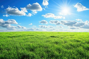 Fototapeta premium Lush Green Field Under Bright Blue Sky with Fluffy White Clouds