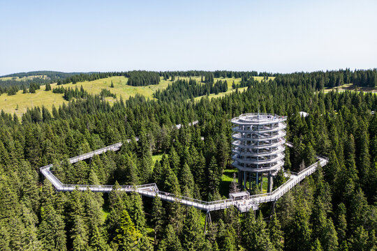 Treetop walk and view tower at Pohorje mountain in Rogla. Famous attraction and tourist destination in Slovenia near Maribor.