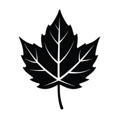autumn leaf icon of silhouette black shape vector illustration isolated on white background