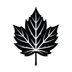 Obraz premium autumn leaf icon of silhouette black shape vector illustration isolated on white background