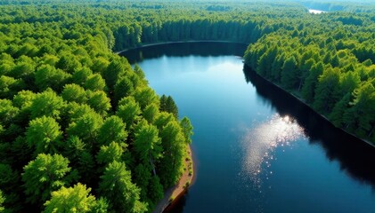 Fototapeta premium Minnesota's vibrant green forests and sparkling lakes from above , outdoor, county, sky