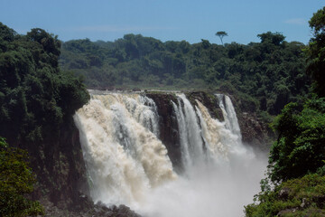Obraz premium Majestic Iguazu Falls Surrounded by Lush Rainforest, Brazil
